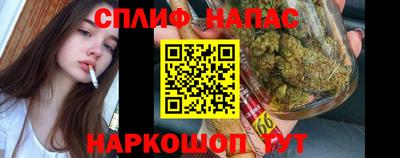 mdpv Дубна