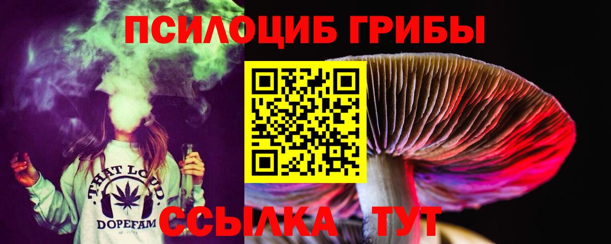 сколько стоит  Псилоцибиновые грибы MAGIC MUSHROOMS  Вход с VPN  Псилоцибиновые грибы GOLDEN TEACHER  Тюмень 